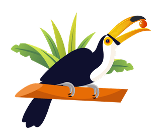 tocotoucan-tucan-birds-icons-colorful-cartoon-sketch-522798