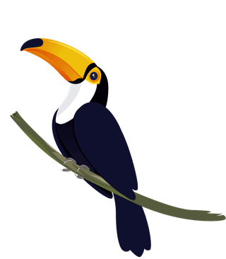 tocotoucan-tucan-birds-icons-colorful-cartoon-sketch-418862