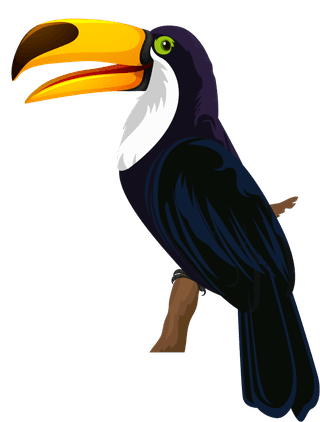 toucanbirds-species-icons-perching-sketch-colorful-classic-design-450097