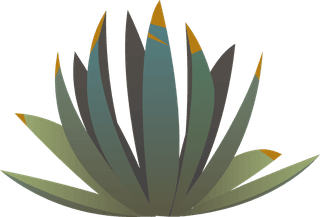 tumbleweedcactuses-rocks-sand-desert-africa-725722