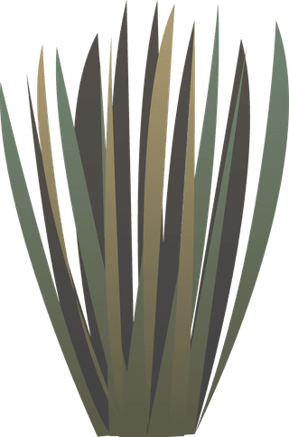 tumbleweedcactuses-rocks-sand-desert-africa-42244