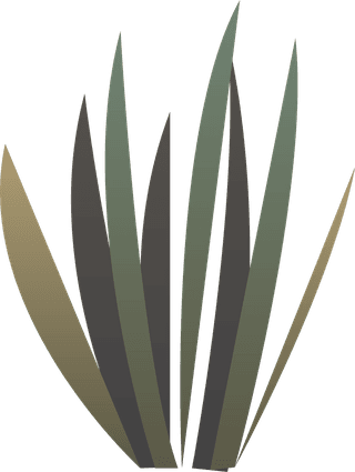 tumbleweedcactuses-rocks-sand-desert-africa-730668