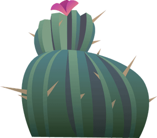 tumbleweedcactuses-rocks-sand-desert-africa-554971