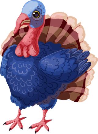 turkeycartoon-farm-animals-set-214477