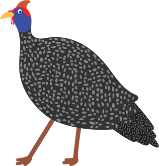 turkeycute-birds-illustration-set-973369