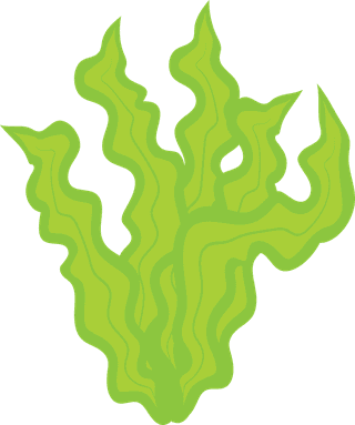 vset-of-underwater-seaweed-icons-on-white-background-213691