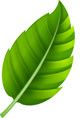 variousshapes-forms-green-leaves-548674