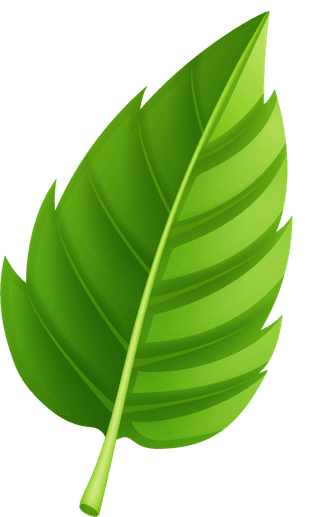 variousshapes-forms-green-leaves-427096