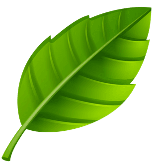 variousshapes-forms-green-leaves-715444