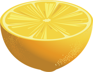 vectorcitrus-fruits-set-211187