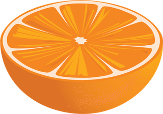 vectorcitrus-fruits-set-486445