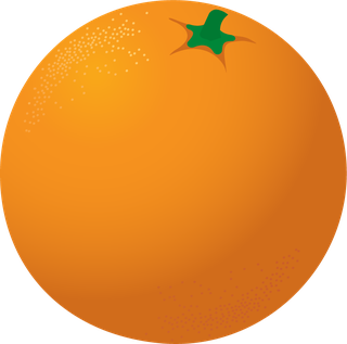 vectorcitrus-fruits-set-465230