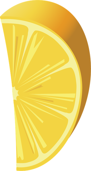 vectorcitrus-fruits-set-500316