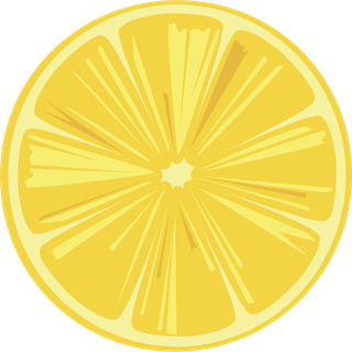 vectorcitrus-fruits-set-548308