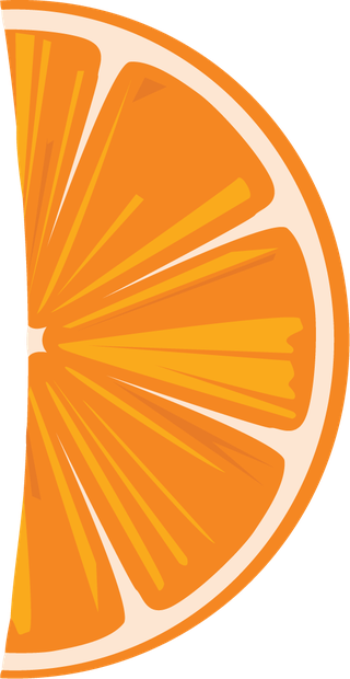 vectorcitrus-fruits-set-135977