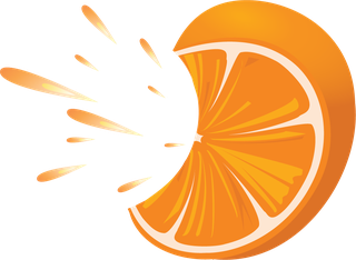 vectorcitrus-fruits-set-848048