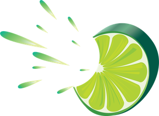 vectorcitrus-fruits-set-864876