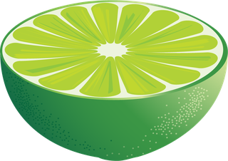 vectorcitrus-fruits-set-333924