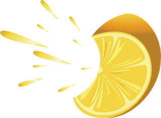 vectorcitrus-fruits-set-965889