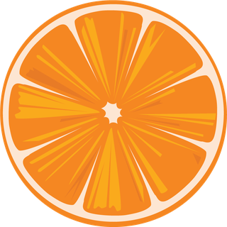 vectorcitrus-fruits-set-377216