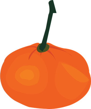 vectorcitrus-fruits-vectors-643658