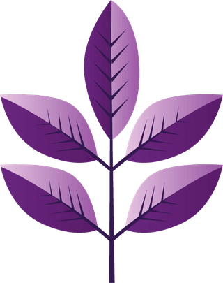 vectordesigner-elements-set-collection-of-purple-jungle-616466