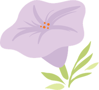 vectorflowers-including-petunia-berries-decorative-branches-tulip-rose-and-other-138721