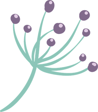 vectorflowers-including-petunia-berries-decorative-branches-tulip-rose-and-other-925256
