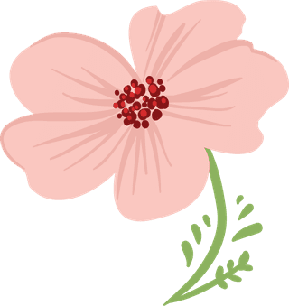 vectorflowers-including-petunia-berries-decorative-branches-tulip-rose-and-other-200380