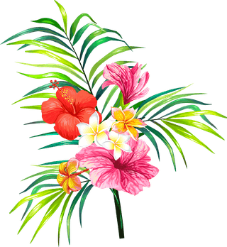 vectorillustration-realistic-style-branch-tropical-palm-tree-with-hibiscus-flowers-882080