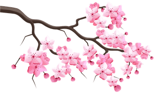 vectorjapan-sakura-cherry-branch-with-blooming-flowers-design-constructor-with-blooming-cherry-branch-178234