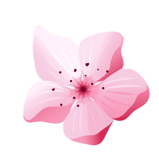 vectorjapan-sakura-cherry-branch-with-blooming-flowers-design-constructor-with-blooming-cherry-branch-720938