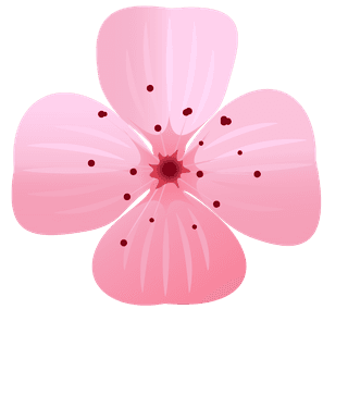 vectorjapan-sakura-cherry-branch-with-blooming-flowers-design-constructor-with-blooming-cherry-branch-687056