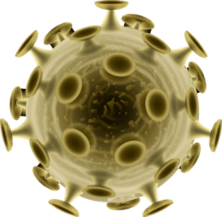 vectorpetri-dish-with-molds-bacterial-colonies-top-view-isolated-background-580128