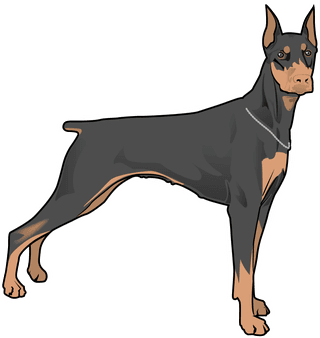 vectorportal-pet-dogs-491092