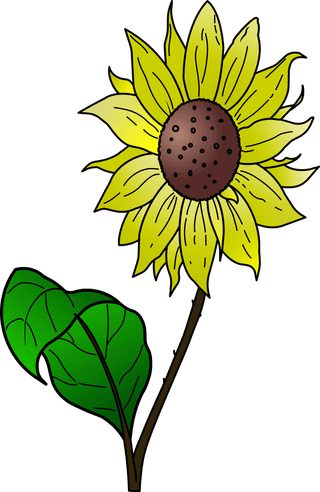 vectorsunflower-coloring-pages-for-kids-909198