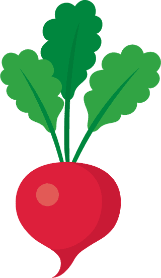 vegetabletype-illustration-cabbage-red-cabbage-potato-collard-green-radish-353374