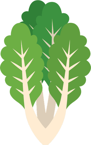 vegetabletype-illustration-cabbage-red-cabbage-potato-collard-green-radish-360850