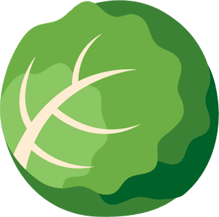 vegetabletype-illustration-cabbage-red-cabbage-potato-collard-green-radish-370920