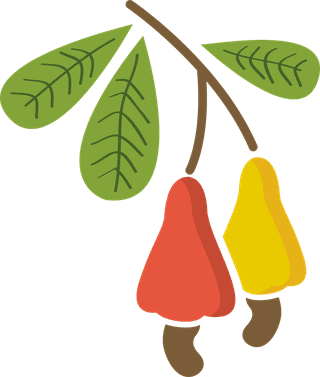 verycolorful-such-as-papaya-guava-cashew-rambutan-banana-fruits-showy-to-exemplify-any-963974