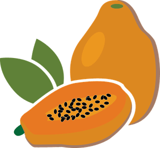verycolorful-such-as-papaya-guava-cashew-rambutan-banana-fruits-showy-to-exemplify-any-503759