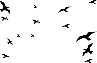 vintagebird-cage-vector-with-all-different-kinds-of-cages-and-flying-birds-377544