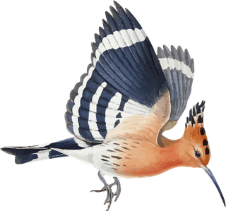 vintagebird-vector-animal-art-print-set-remixed-from-public-domain-collection-172072