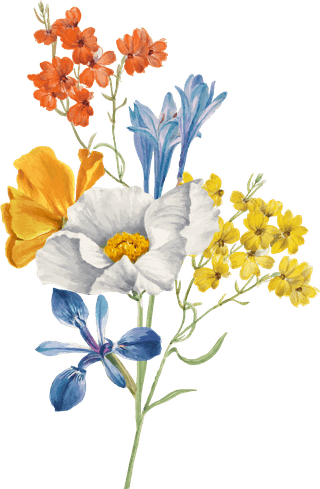 vintagespring-flower-name-vector-illustration-remixed-from-public-domain-artworks-275555