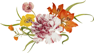 vintagespring-flower-name-vector-illustration-remixed-from-public-domain-artworks-318711