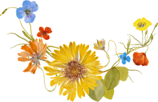 vintagespring-flower-name-vector-illustration-remixed-from-public-domain-artworks-857838