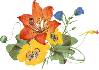 vintagespring-flower-name-vector-illustration-remixed-from-public-domain-artworks-118503