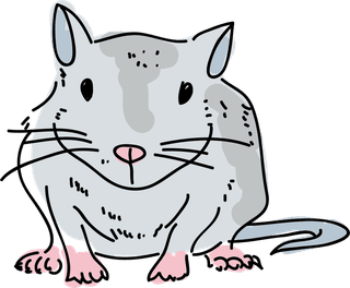 volegerbil-mouse-pose-hand-drawn-doodle-vector-illustration-446963