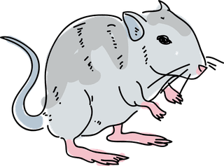 volegerbil-mouse-pose-hand-drawn-doodle-vector-illustration-289990
