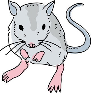 volegerbil-mouse-pose-hand-drawn-doodle-vector-illustration-712960